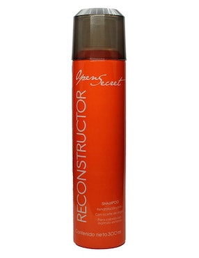 Shampoo Para Cabello Reconstructor Hairhuntersco