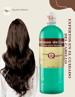Set de shampoo Verde Sábila Yeguada La Reserva