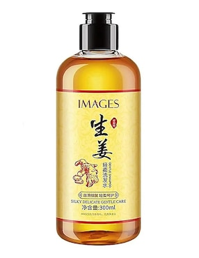 Shampoo hidratante Güish Jenjibre 300 ml