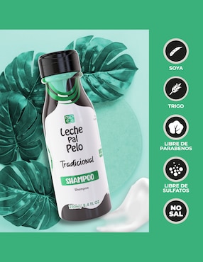 Shampoo para cabello graso Leche pal Pelo Leche pal Pelo tradicional 250 ml