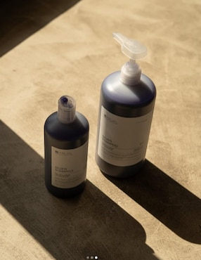 Shampoo matizador de canas para cabello Silver Arual 500 ml