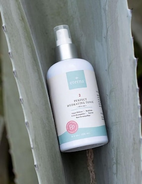 Tónico hidratante Perfect hydrating Eterna Skin Care
