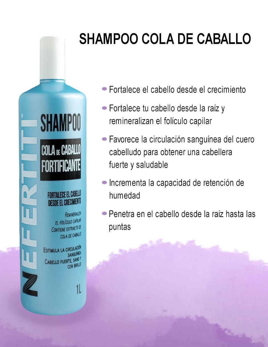Shampoo hidratante para cabello cola de caballo 2