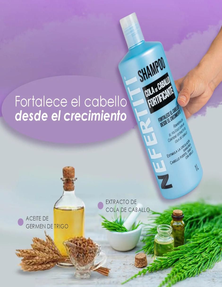 Shampoo hidratante para cabello cola de caballo 3