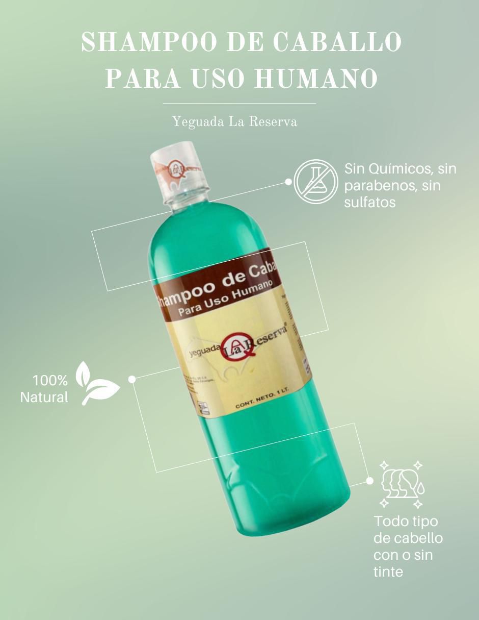 Shampoo anticaída 2