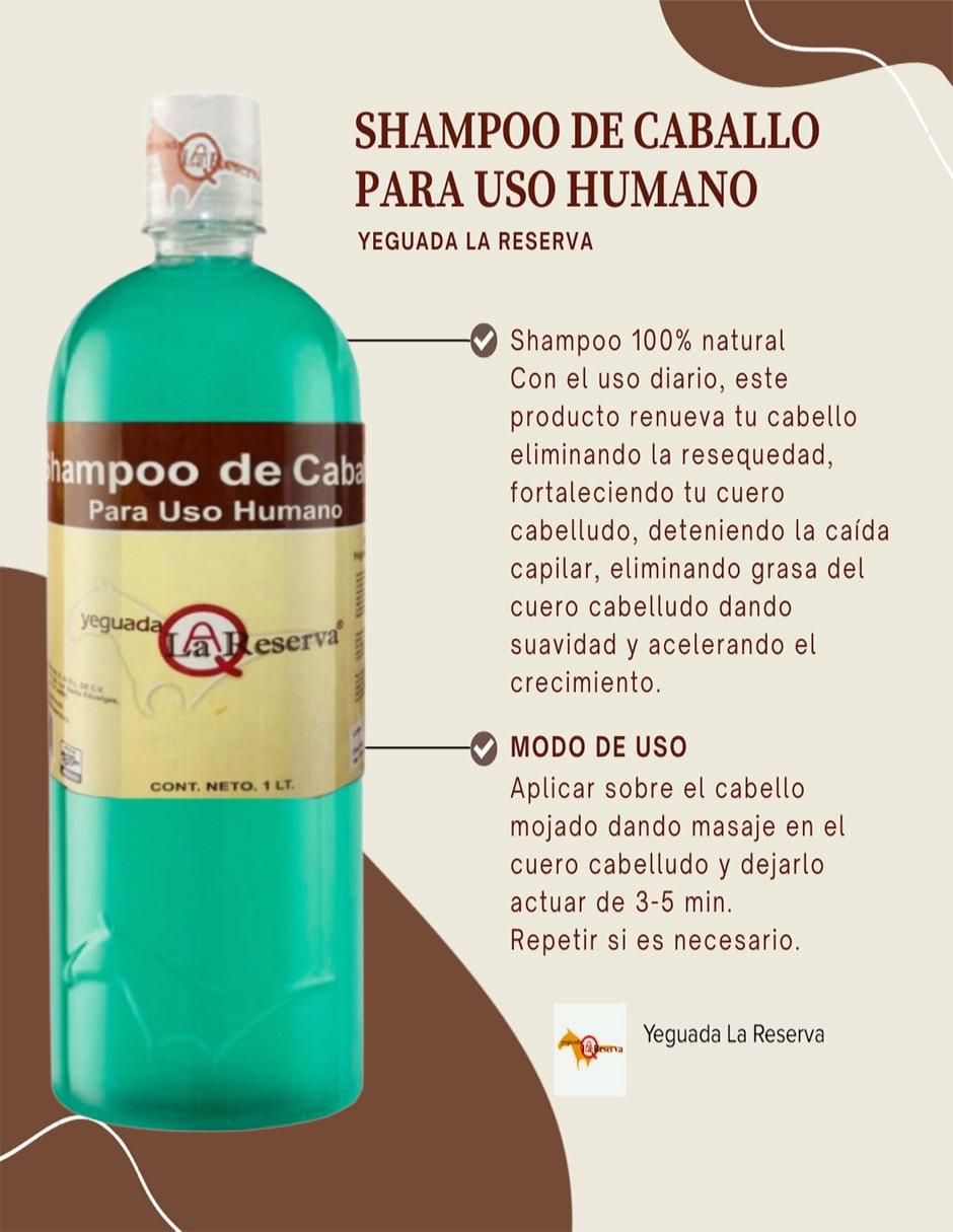 Shampoo anticaída 4