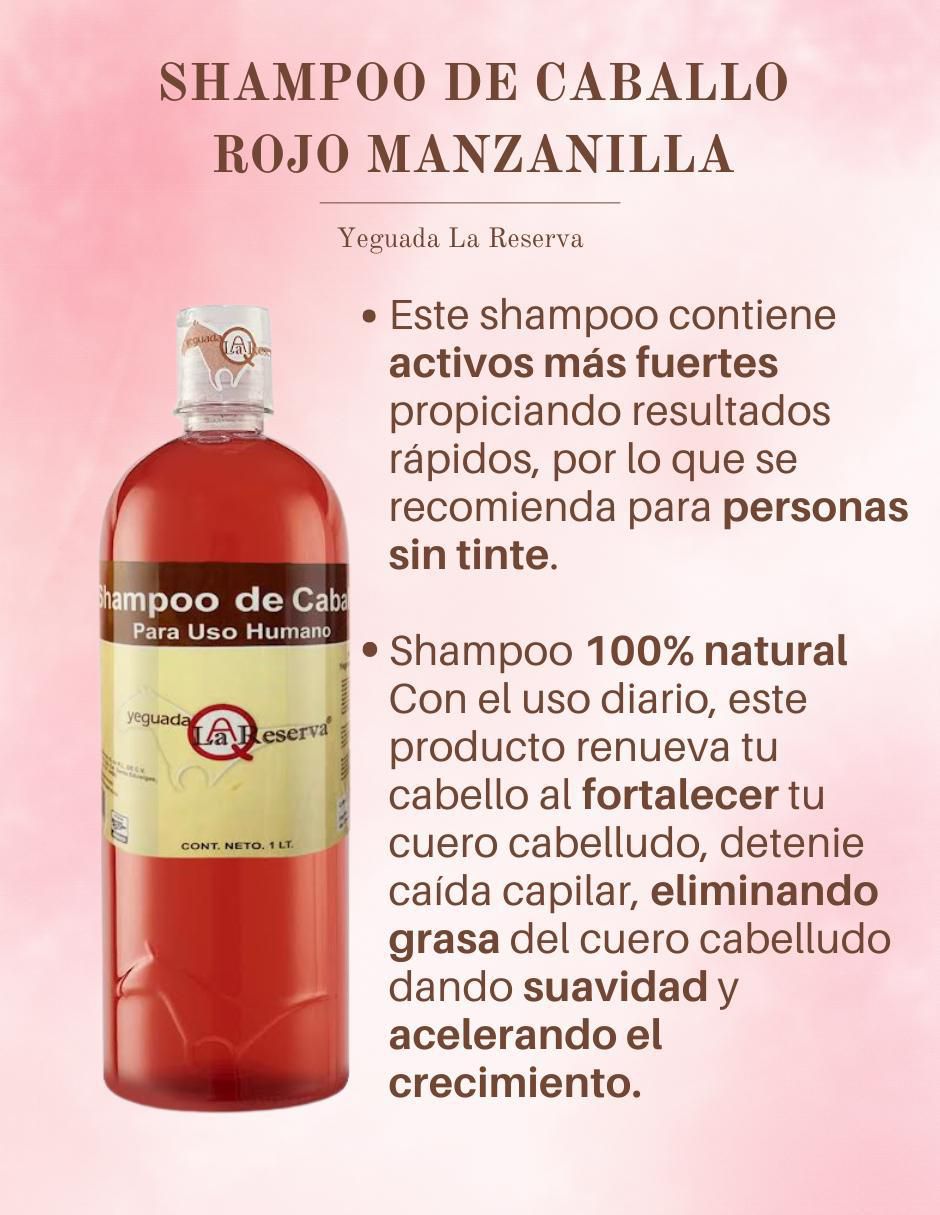 Set de shampoo de caballo para uso humano 4