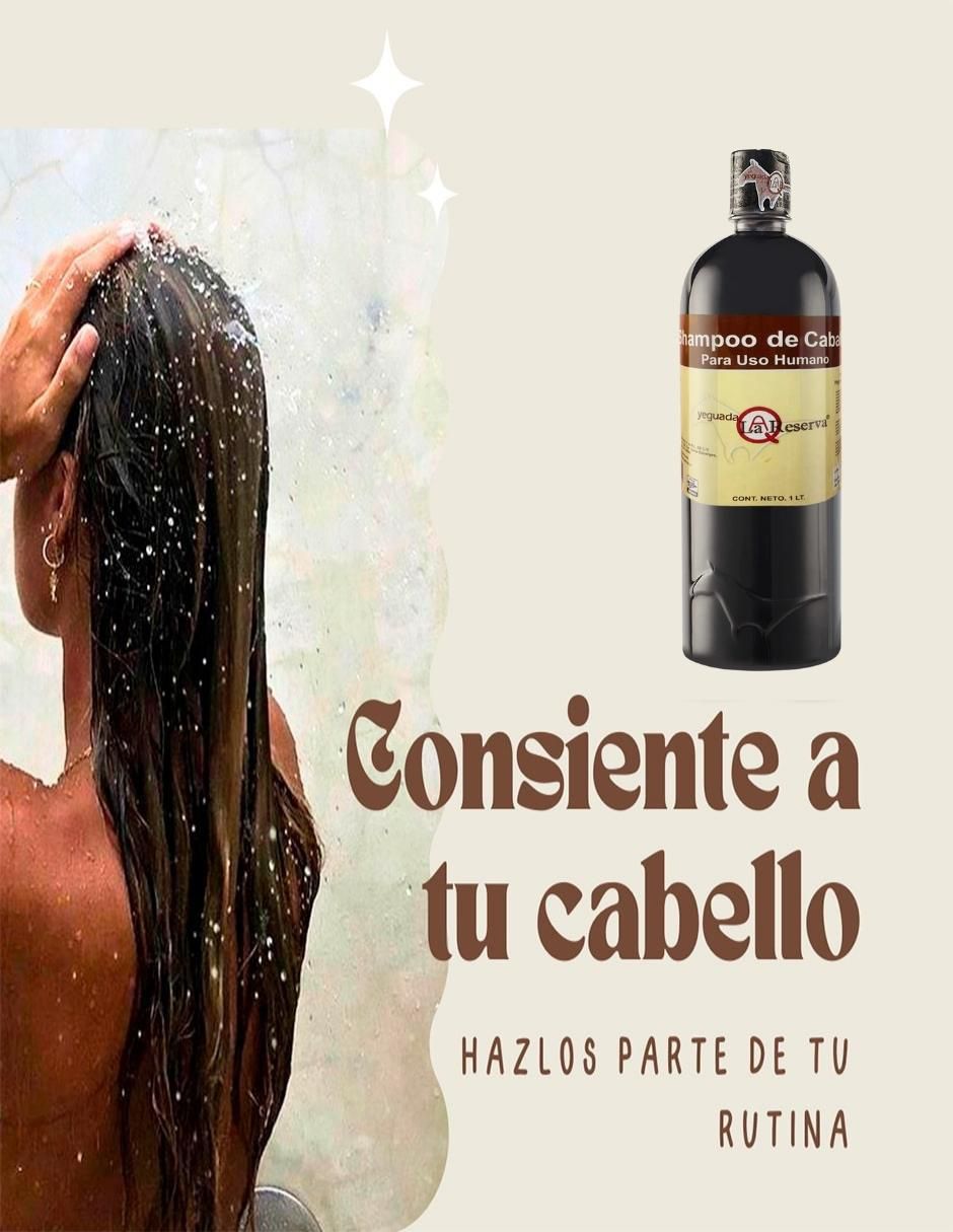 Set de shampoo de caballo para uso humano 9