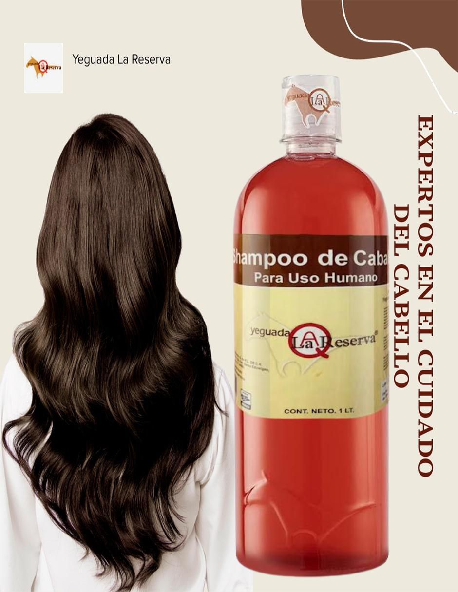 Set de shampoo para cabello sin tinte 4