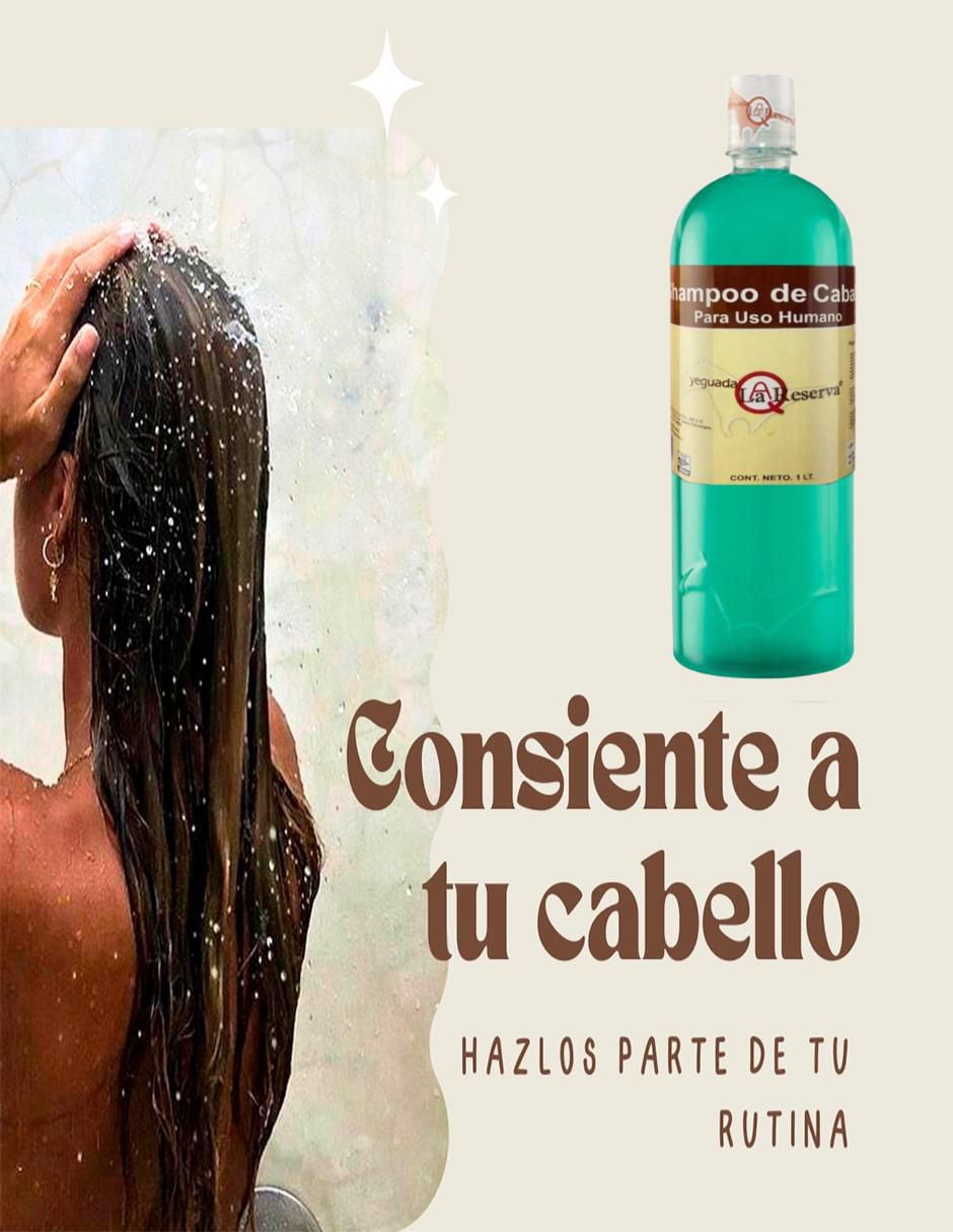 Set de shampoo Verde Sábila 4