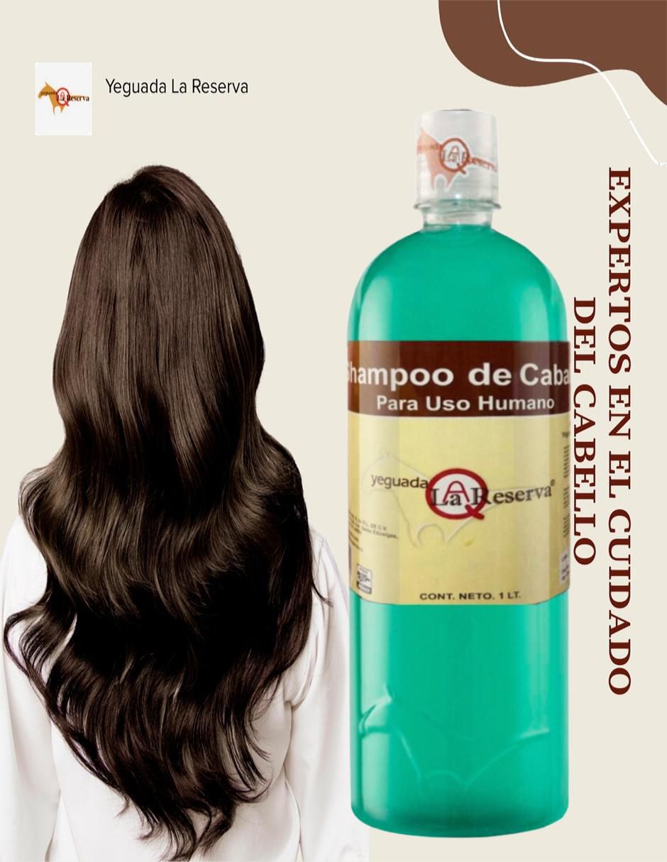 Set de shampoo Verde Sábila 5