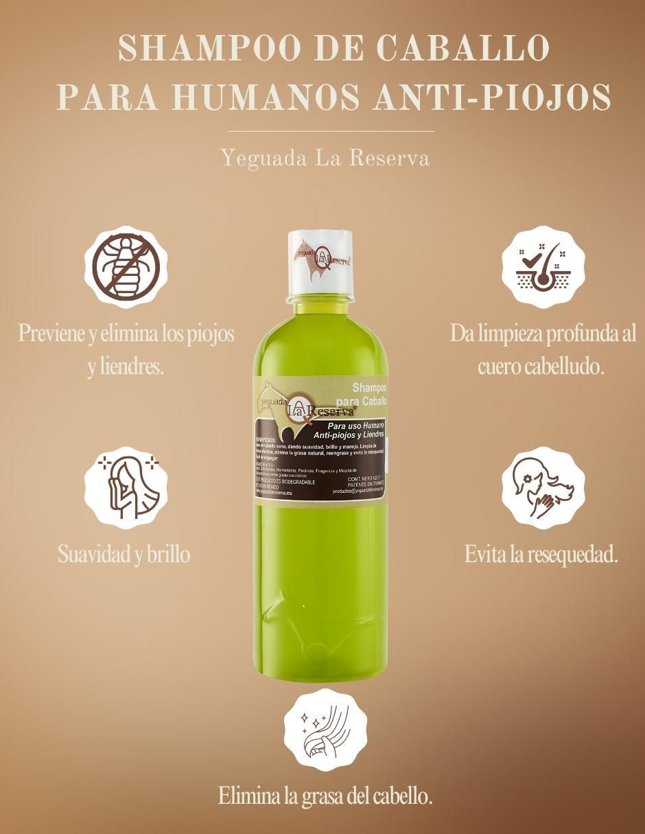 Set de shampoo anti piojos y liendres 2