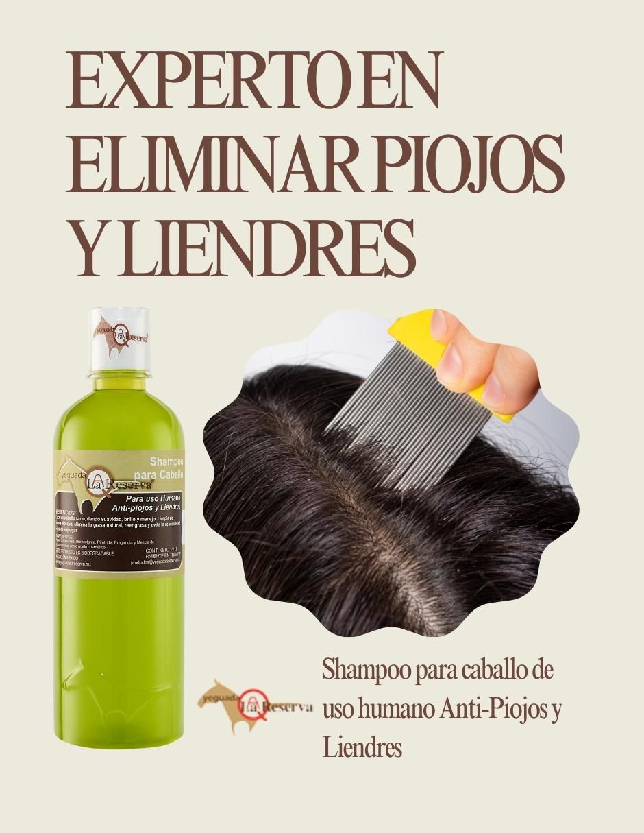 Set de shampoo anti piojos y liendres 4