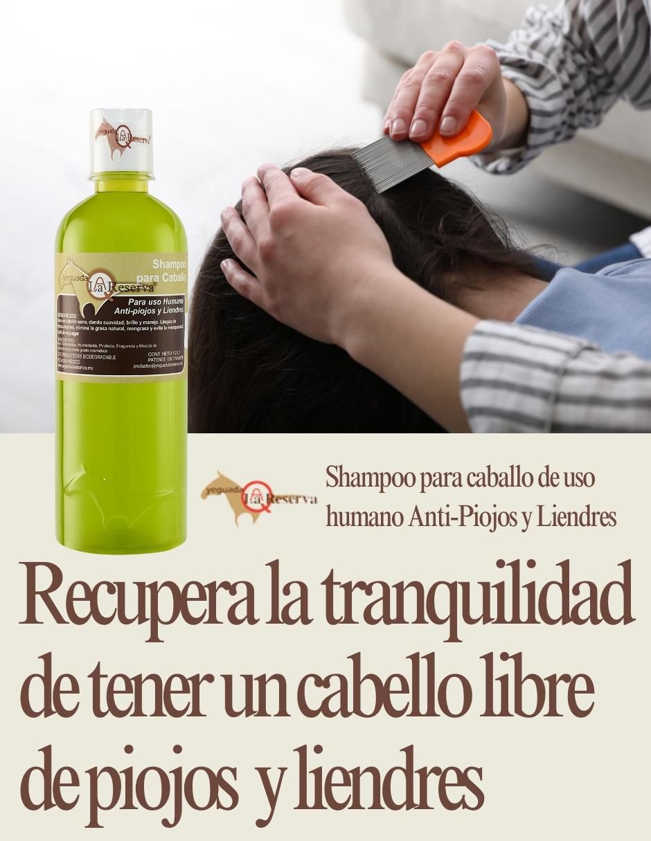 Set de shampoo anti piojos y liendres 5