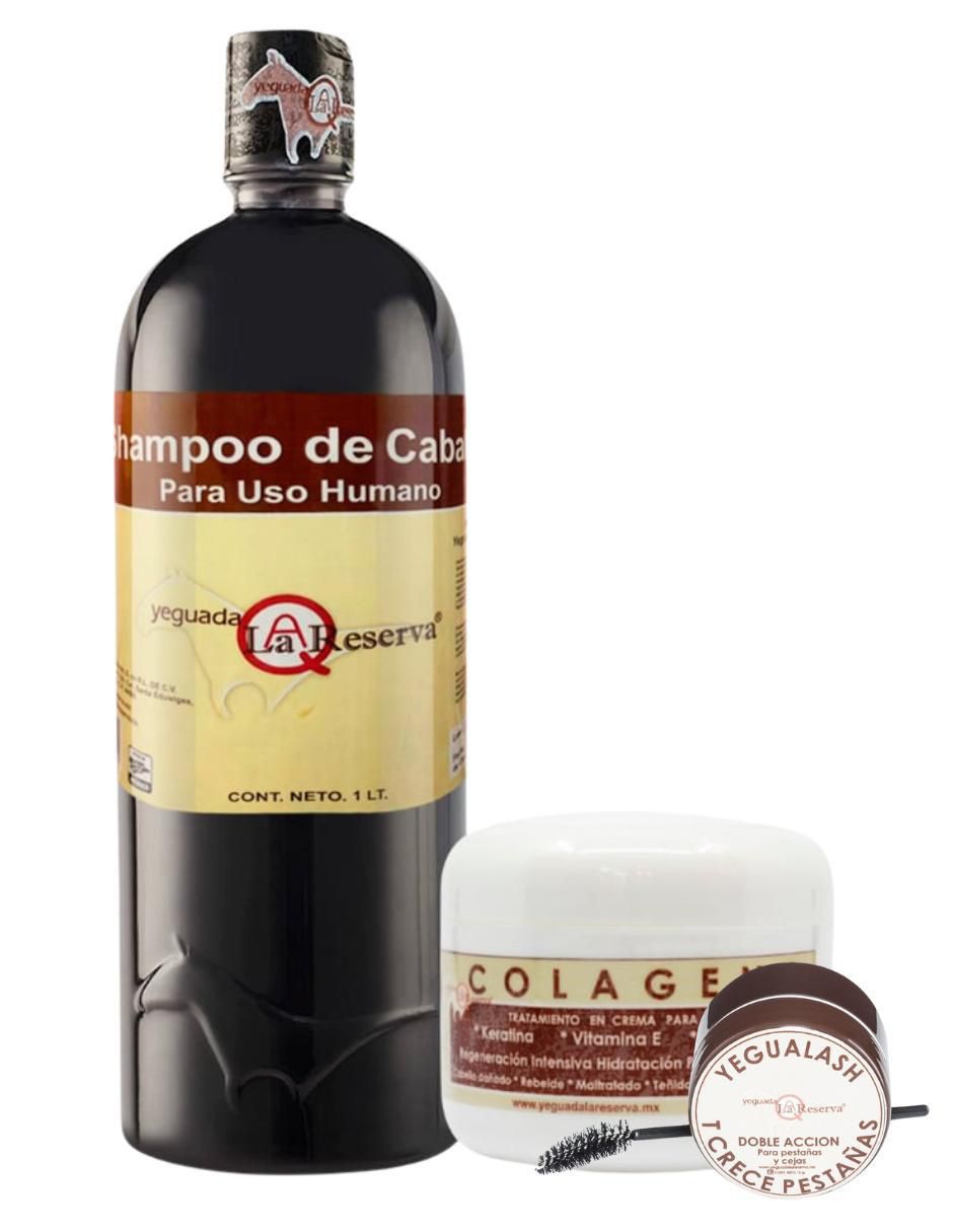 Kit de shampo y acondicionador para cabello todo tipo Kit de shampo y acondicionador para cabello todo tipo