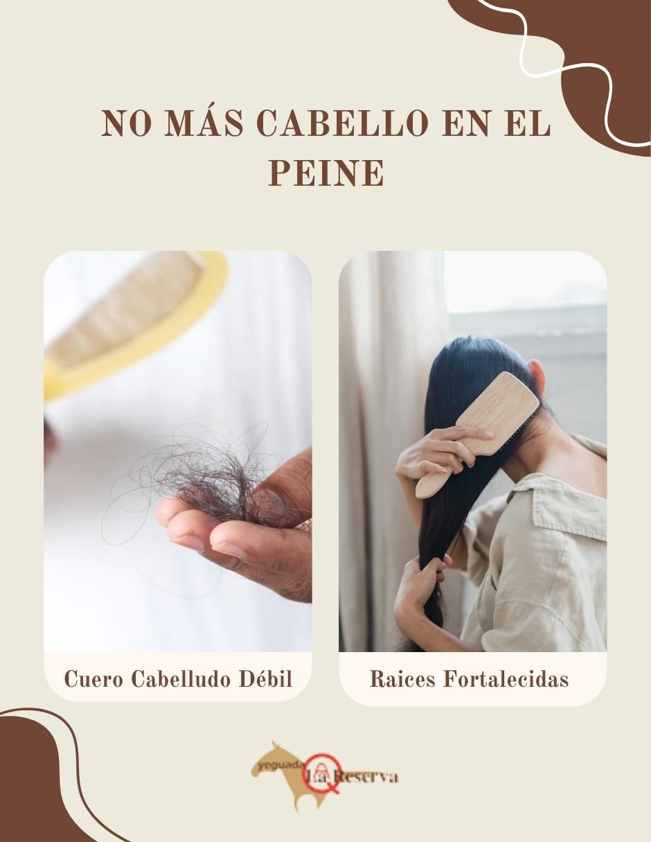 Kit de shampo y acondicionador para cabello todo tipo 7