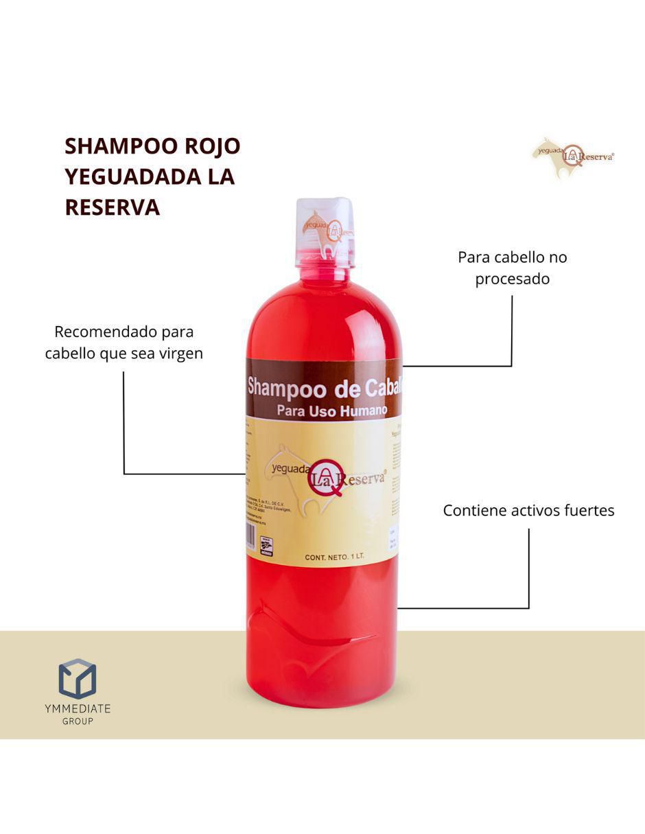 Set de shampoo 1 L 6